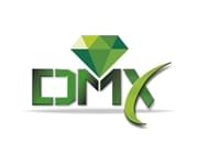 Manto sintetico DMX per il rifacimento campo da calcio