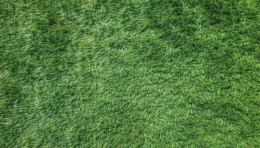 Tennis: scegli i campi polivalenti in erba sintetica