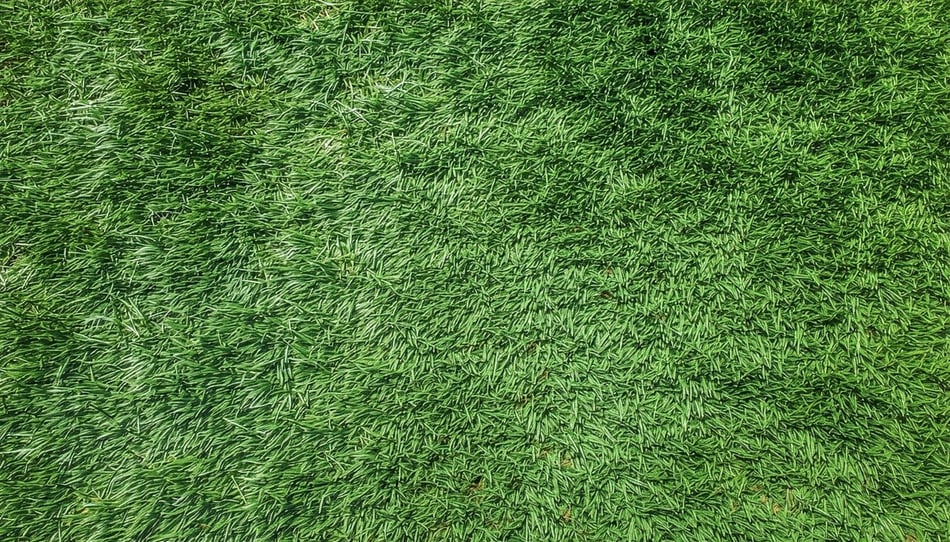 Tenis: opta por campos polivalentes de césped sintético