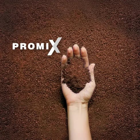 Filiera-Italgreen-INTASI