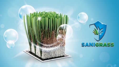 Sanigrass
