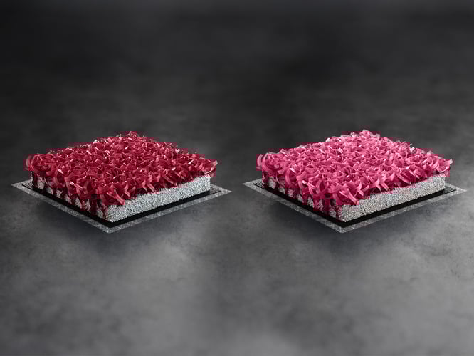 I colori 2025 per campi da padel