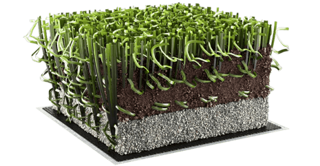 all-star-geofill-imm2-i6343-krcu.i20090-khShfs-w1000-h1000-l1-n1