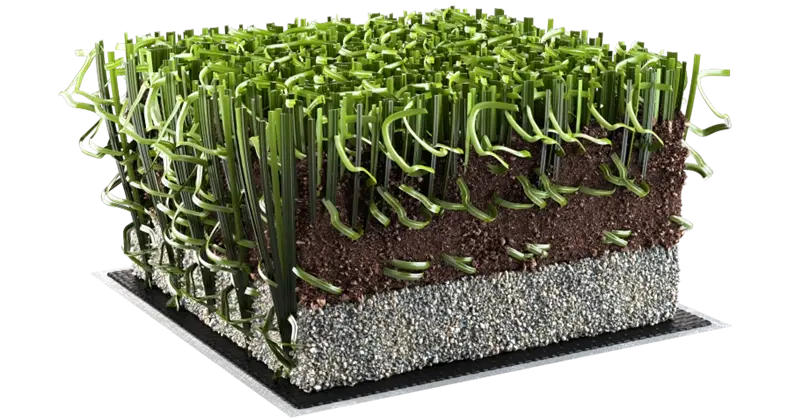 Erba sintetica per campi di ultima generazione All-Star, per calcio e rugby